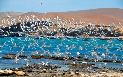 COMPRE SEU BILHETE NA MÁNCORA