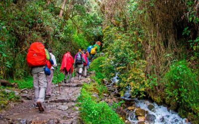 O que fazer em Yurimaguas