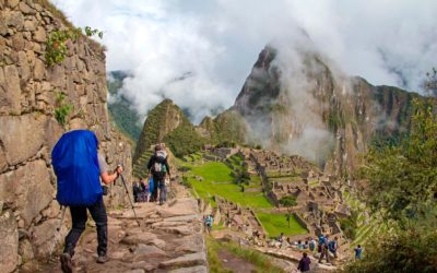 ¿VOCÊ PRECISA DE BASTÕES DE CAMINHADA?